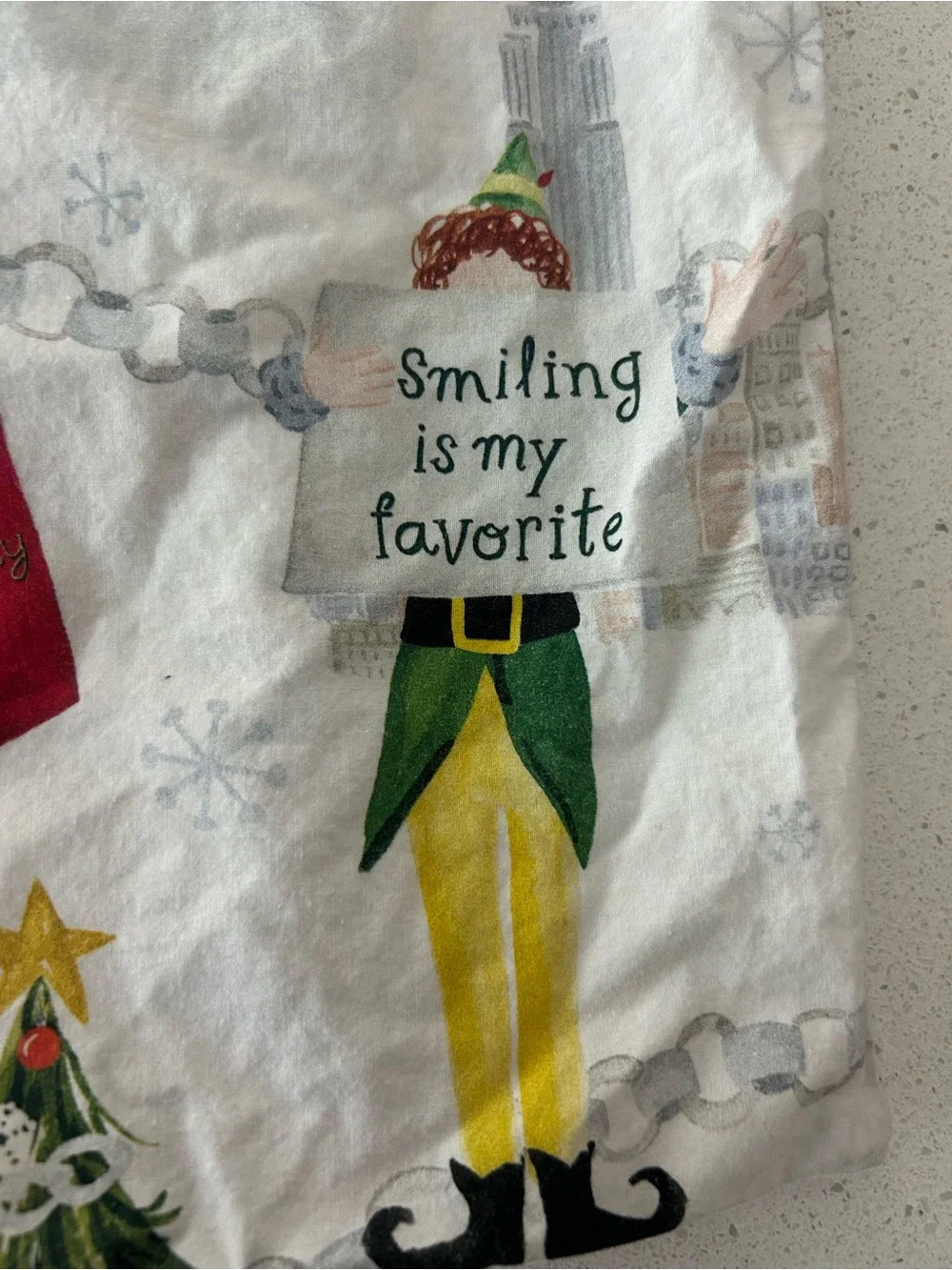 Pottery Barn Elf Christmas Pillowcase